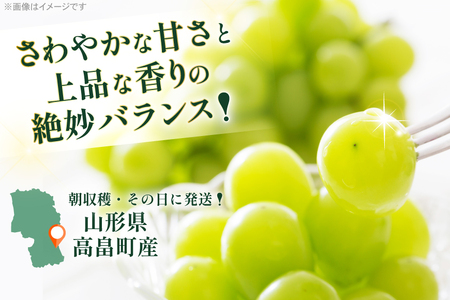 【期間限定発送】 シャインマスカット 6〜10房 満杯詰め 約4kg