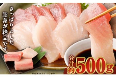 厳選 トロびんちょうマグロ 約500g 訳あり とろびんちょうまぐろ びんながまぐろ びんとろまぐろ マグロサクブロック 刺身 まぐろ丼 海鮮丼 冷凍まぐろ ge014