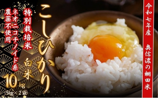 【令和7年産】 特別栽培米 『奥信濃の棚田米 実の里』 こしひかり 精米 10㎏ (7-20B) お米 コメ 白米 ご飯 長野県 信州 飯山市 令和7年 コシヒカリ 産地直送 農家直送