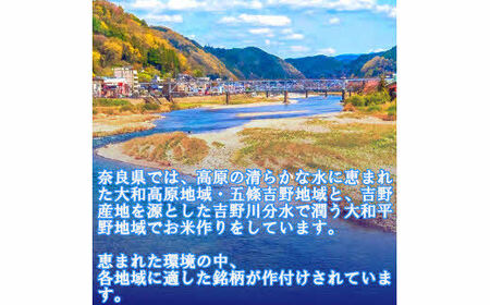 無洗米 奈良大和路のお米　コシヒカリ 5kg ／ 奈良県産 全農パールライス 米 お米 白米 奈良県 田原本町