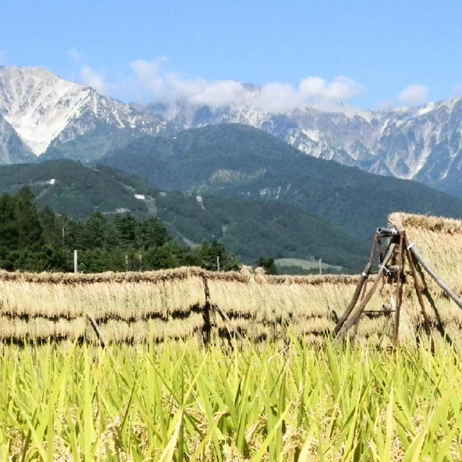ふるさと納税 白馬村 【毎月定期便】【2ヶ月連続お届け】長野県白馬村産ミルキークイーン 精米 5kg全2回 |  | 02