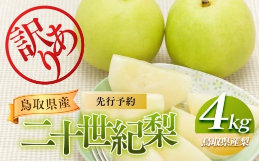 953.【訳あり】二十世紀梨 4kg（梨）※8月下旬頃～9月下旬頃に順次発送【先行予約 梨 なし 果物 フルーツ くだもの 鳥取県 北栄町 おすすめ 人気 送料無料】