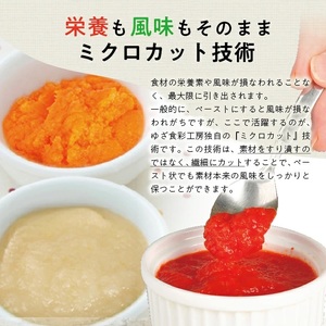 冷凍野菜ペーストアラカルト6種 ほうれん草 さつまいも 玉ねぎ パプリカ にんじん かぼちゃ 各500g 計3.0kg 冷凍便 ※離島発送不可 冷凍 野菜 野菜ペースト 離乳食 介護食 小分け お菓子