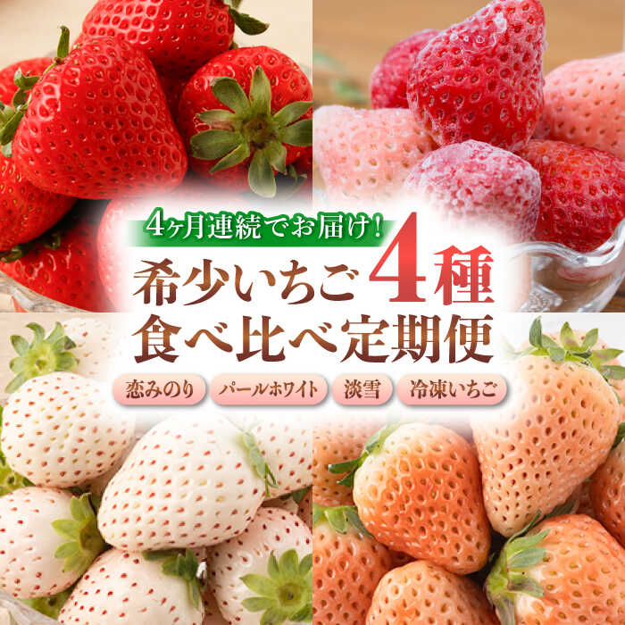 【ふるさと納税】【2026年発送分 先行予約】【全4回定期便】希少いちご（恋みのり・パールホワイト・淡雪・冷凍いちご）食べ比べ定期便 / いちご イチゴ 苺 果物 フルーツ 定期便 / 佐賀県ふるさと納税 [41AAZZ003]