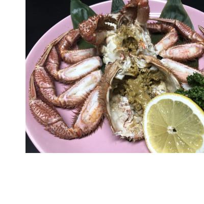 ふるさと納税 網走市 先行予約・オホーツク流氷海明け活〆大サイズ茹で毛蟹2尾で約1.5kg冷蔵便届け