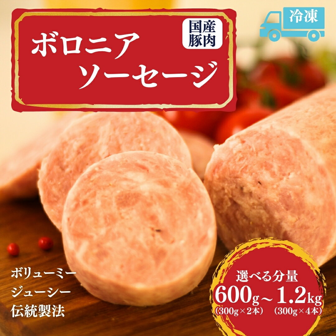 【ふるさと納税】国産豚使用 ボロニアソーセージ 選べる本数 600g (300g×2本) / 1.2kg (300g×4本) | 国産 豚肉 肉 加工肉 加工品 ボロニアソーセージ 福相食品工業 福島 南相馬