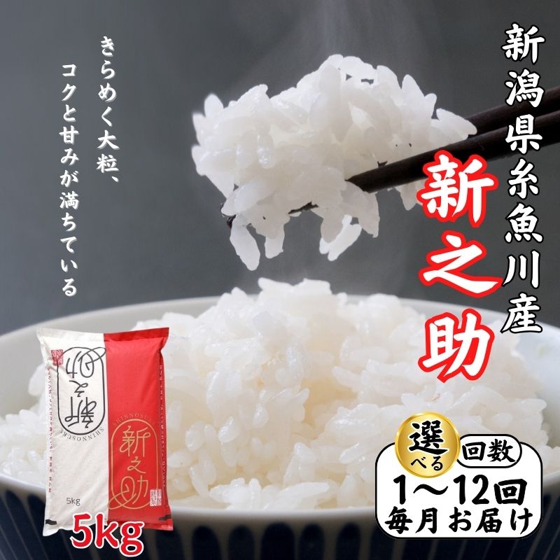 【ふるさと納税】新之助 5kg《令和7年産》【令和8年1月以降出荷予定】選べる定期便 (1回～12回) 毎月お届け糸魚川産 白米 2025年産 ご飯 精米 新潟の新ブランド米 しんのすけ 食品 おすすめ 人気 新潟米 弁当 おにぎり 選べる回数 米5kg 木島米穀店