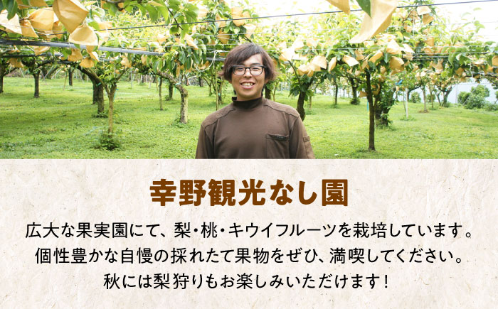 【先行予約】【9月上旬から順次発送】みずみずしくてジューシー！ 特選 豊水 梨2kg（5個から7個入り）　梨 なし ナシ 果物 フルーツ 愛媛県大洲市/幸野観光なし園［AGBD005］梨 果物 秋の味