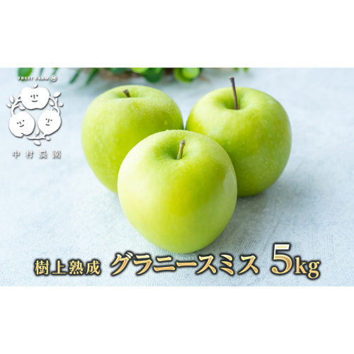 フルーツファーム中村農園　【10月中旬発送 先行予約】樹上熟成　グラニースミス 5kg |  りんご グラニースミス グリーンアップル 林檎 アップルパイ ジャム 加工用 生食用 果物 フルーツ 青りんご 料理用 製菓用 送料無料 長野県 長野市 信州 信濃 ふるさと納税