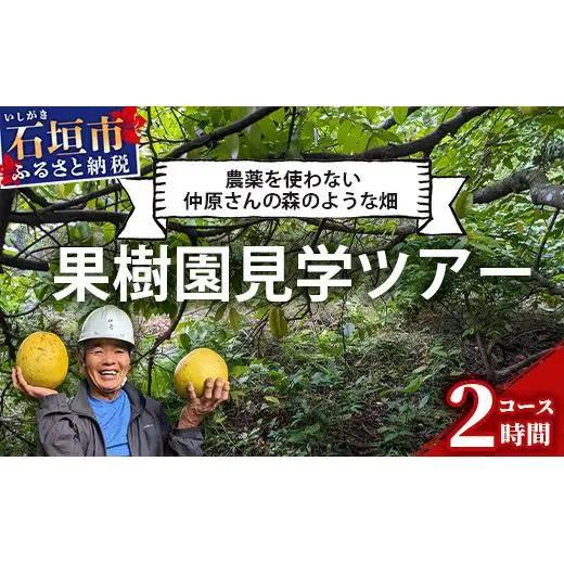 10月〜3月は1番人気の文旦も食べ放題＆お土産付！＜1回1組限定プライベート体験ツアー！＞農薬を使わない、仲原さんの「森のような畑」【 沖縄 石垣島 畑 果樹園 見学 体験 ツアー 食育 野菜 果物 沖縄のいいもの石垣島 】OI-21-1