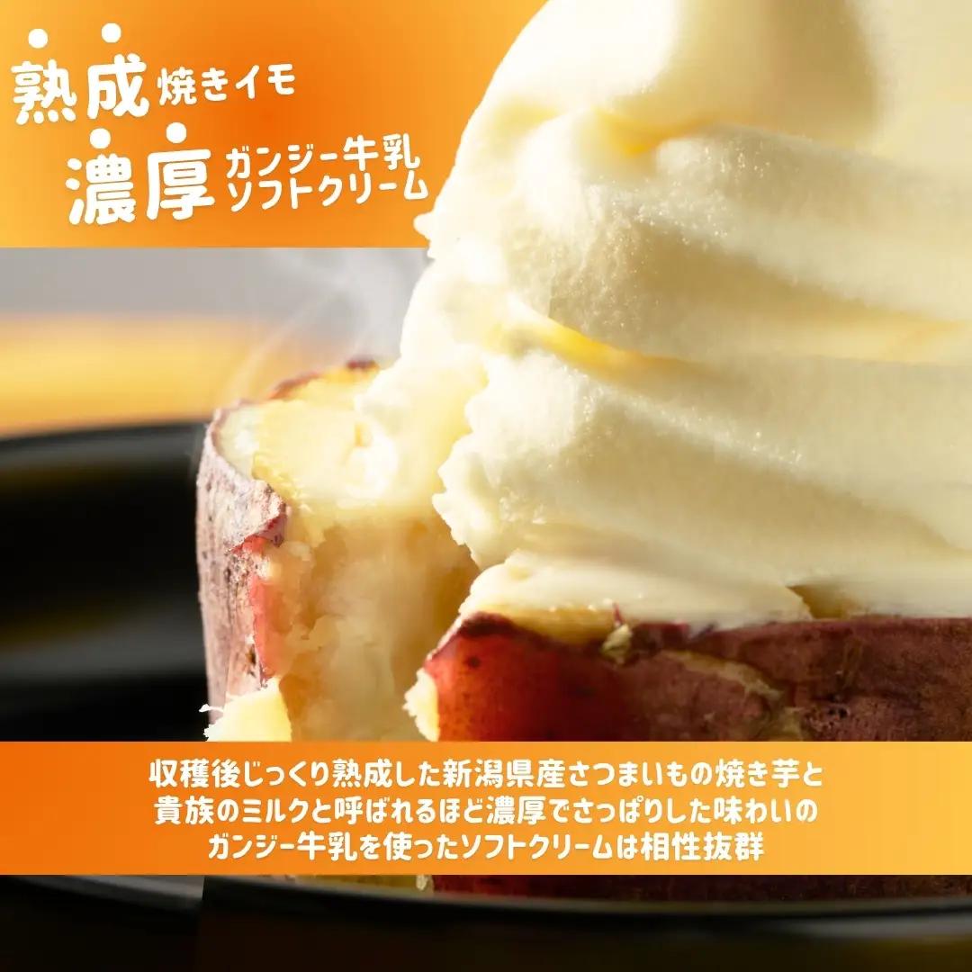 焼きイモソフトクリーム4個とさつまいもプリン4個セット | プリン 芋