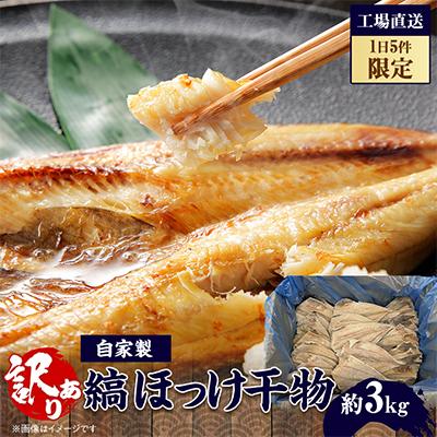 ふるさと納税 大網白里市 【1日5件限定】出来立て!工場直送! 自家製 縞ほっけ 干物 合計約3kg 訳あり