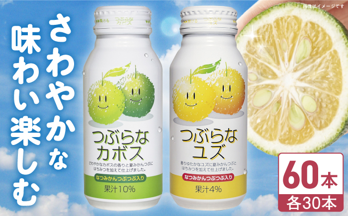 つぶらなユズ/カボス 各30本 計60本　【2箱】 かぼす 日田市 / 株式会社綾部商店 [ARDC016]