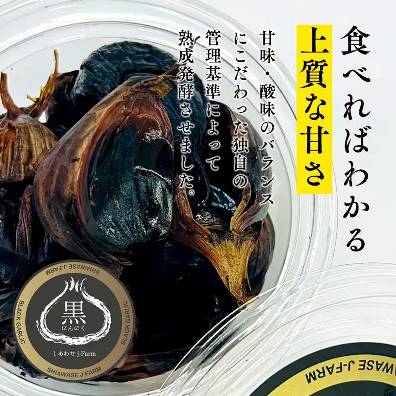 青森県産黒にんにく 100g×2パック[hi-0028-004]