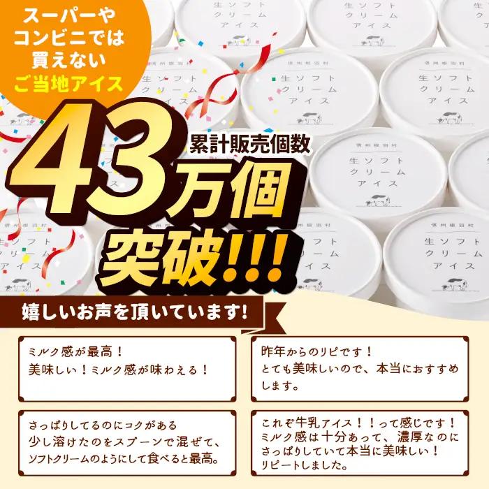 〈1週間以内発送〉着色料・香料不使用！生ソフトクリームアイス　16個入り アイスクリーム ミルク アイス 根羽村 ネバーランド 12000円