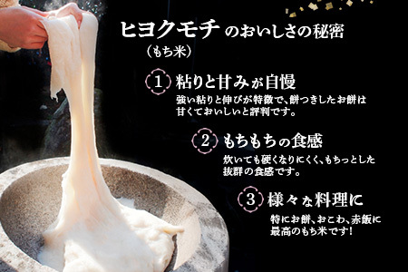 【令和7年産】ヒヨクモチ米 9kg(4.5kg×2袋) 佐賀県神埼産(H063153)