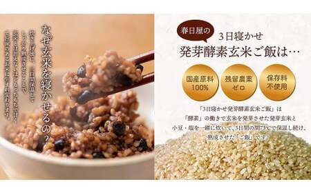 【常温】3日寝かせ発芽酵素 玄米ごはん 12食 セット （125g×12食） 玄米 ごはん