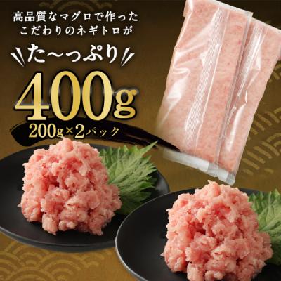 ふるさと納税 室戸市 【定期便 / 3ヶ月連続】 土佐流藁焼きかつおのたたき2節と高豊丸ネギトロ400g |  | 02