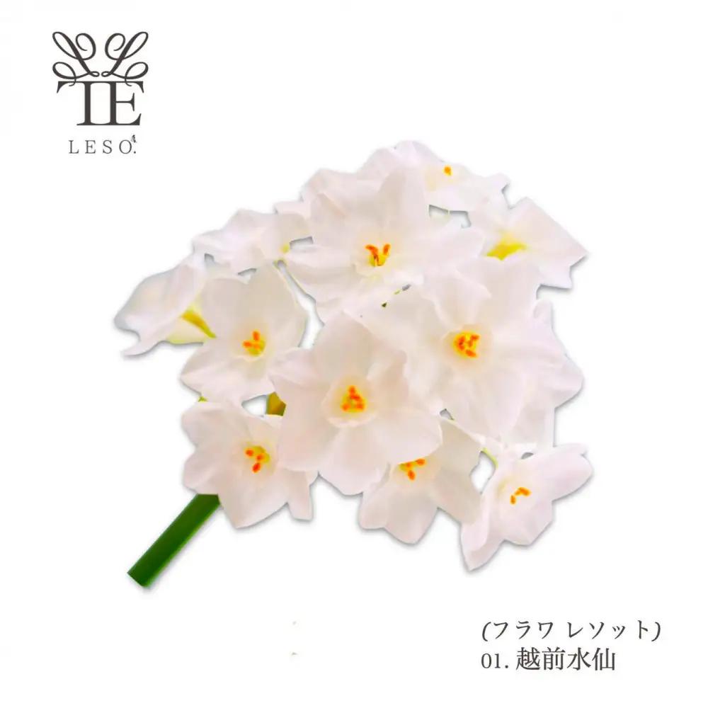 本物の花の香り リード・ディフューザー【水仙】 