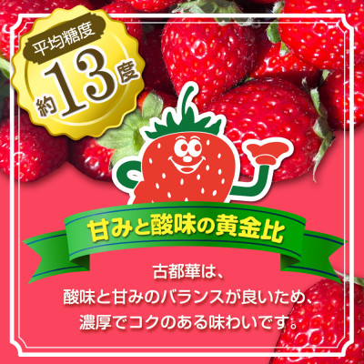 いちご　古都華・ことか2パック(8〜15粒入り/1pc)【配送不可地域：離島・北海道・沖縄県・東北】【1685936】