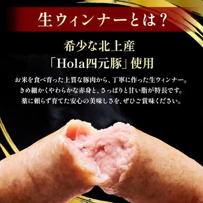 四元豚 生ウインナー 450g 6本入り×3P GIFTON お歳暮 お中元 ギフト プレゼント 母の日 父の日 誕生日 お祝い 卒業祝い 入学祝い バーベキュー BBQ 焼肉 ファミリー パーティー