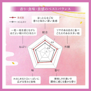 【令和7年産 新米】 京都府産 米 京式部 2kg 白米 精米 国産 京都 こめ おこめ ブランド米 7000円 七千円 2025年度 JA JA京都 京都府産 京都府