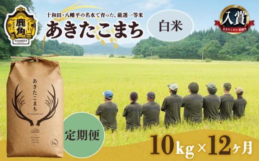 【 定期便 】あきたこまち 白米 10kg × 12ヶ月 合計 120kg 【トライズ】 ●2026年10月下旬発送開始 令和8年産 米 精米 白米 単一原料米 国産米 ブランド米 白米 もっちり 県産米 お米 こめ コメ 秋田県 あきた 鹿角市 鹿角 送料無料