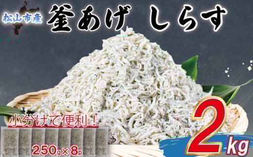 【訳あり】 釜揚げ しらす 2kg |  訳ありしらす 不揃いシラス 国産しらす 冷凍シラス 釜揚げしらす シラス丼 海の幸 松山市産しらす 愛媛県産シラス しらす シラス 釜揚げしらす 惣菜 弁当 簡単調理 ごはんのお供 加工品  海の幸 しらす丼 グルメ 食品 魚介 小魚 魚 鮮魚 海鮮  シラス 卵 たまご 訳あり商品  愛媛県 松山市