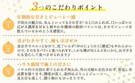 不知火 先行予約 冨田さん家の不知火 ハウス栽培 5kg しらぬい みかん 蜜柑 柑橘 常温 熊本県産 国産 九州 熊本県 宇城市 訳あり 家庭用 不揃い デコなし 傷あり B級品 SDGs 2026