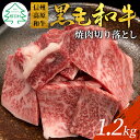 【ふるさと納税】信州高原和牛 焼肉切り落とし 1.2kg リブロース カタロース モモ カタ バラ ウデ 焼肉用 切り落とし 20000円 20,000円 二万円