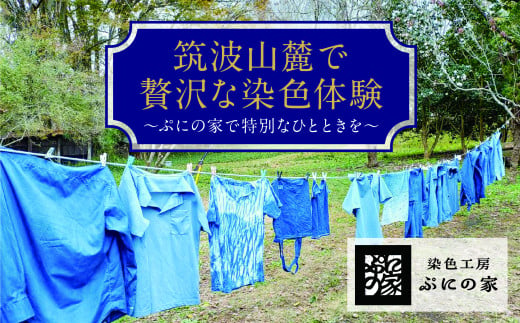 型染め体験　体験チケット　30,000円分【ぷにの家】【 茨城県 つくば市 体験 チケット 染物 藍染 草木染 型染め 自然 古民家 SDGs 染料 季節 四季  】