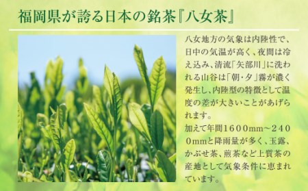 M26-82 福岡の八女茶 煎茶ペットボトル(24本)定期便(毎月×6回)