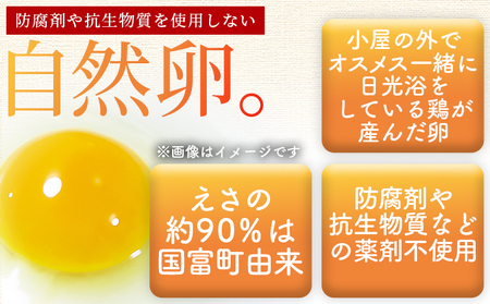 ＜自然農園「こころ」の平飼い『ありがとう卵』20個（10個×2パック）＞ 3か月以内に順次出荷【 卵 たまご タマゴ　生卵 ゆでたまご ゆで卵 卵焼き 玉子焼き オムレツ 親子丼 たまごかけご飯 たま