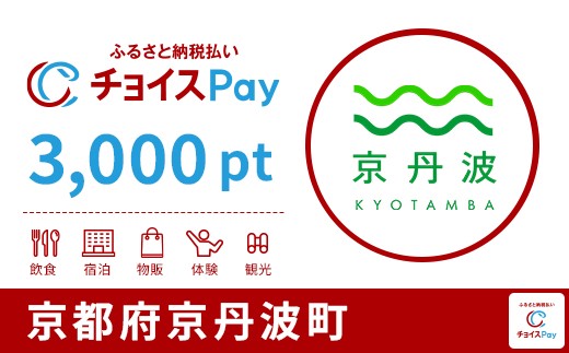 
            京丹波町チョイスPay 3,000pt【会員限定のお礼の品】
          