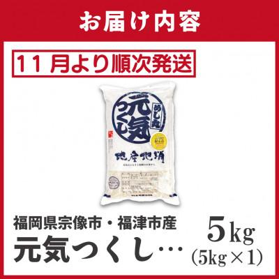 ふるさと納税 福津市 【R7年産】R7年11月〜JAより順次発送 福岡県ブランド米「元気つくし5kg」1袋[G2310a] |  | 03