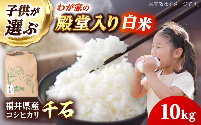 【先行予約/10月中旬以降発送】【令和8年産】福井県産コシヒカリ「千石」 米 10kg 新米 お米 小浜市 / 千石の郷 [BFCA001]