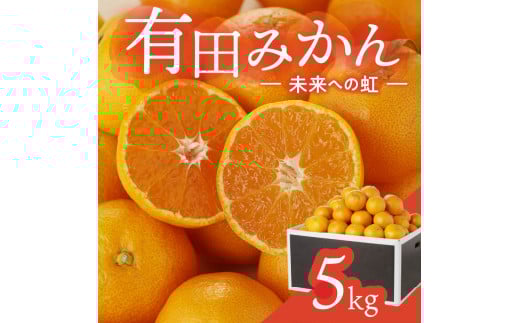 有田みかん「未来への虹」（5kg）(A973-2)