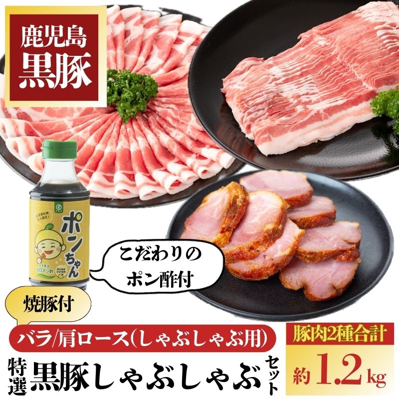 【B02101】特選黒豚しゃぶしゃぶ・黒豚焼豚2個セット_イメージ1