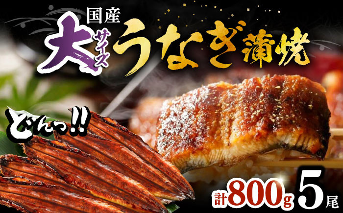 
            福岡県産 うなぎ 蒲焼 大5尾 合計 800 g（1尾あたり 160g以上）《豊前市》【福岡養鰻】 国産 鰻 蒲焼き [VAD004]
          