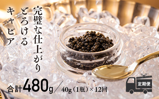 
【定期便 12ヶ月】THE・CAVIAR（ザ・キャビア）40g
