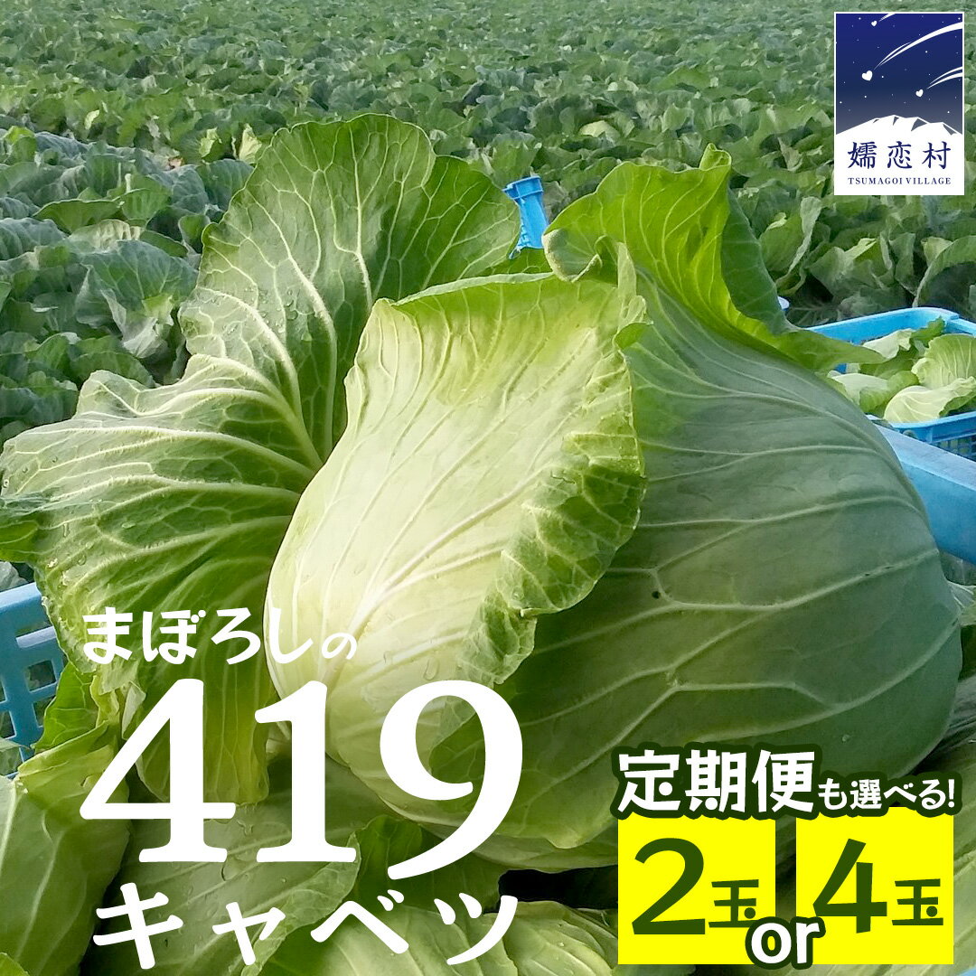 【ふるさと納税】 【 2025年 7月中旬 発送開始 】 まぼろしの419キャベツ 《 選べる 数量＆配送回数 》1回 3か月 定期便 2玉 4玉 きゃべつ 嬬恋キャベツ 嬬恋村産キャベツ 羽生田売店 幻のキャベツ419 産地直送 期間限定 先行予約 人気 朝採り 通販 お取り寄せ 関東