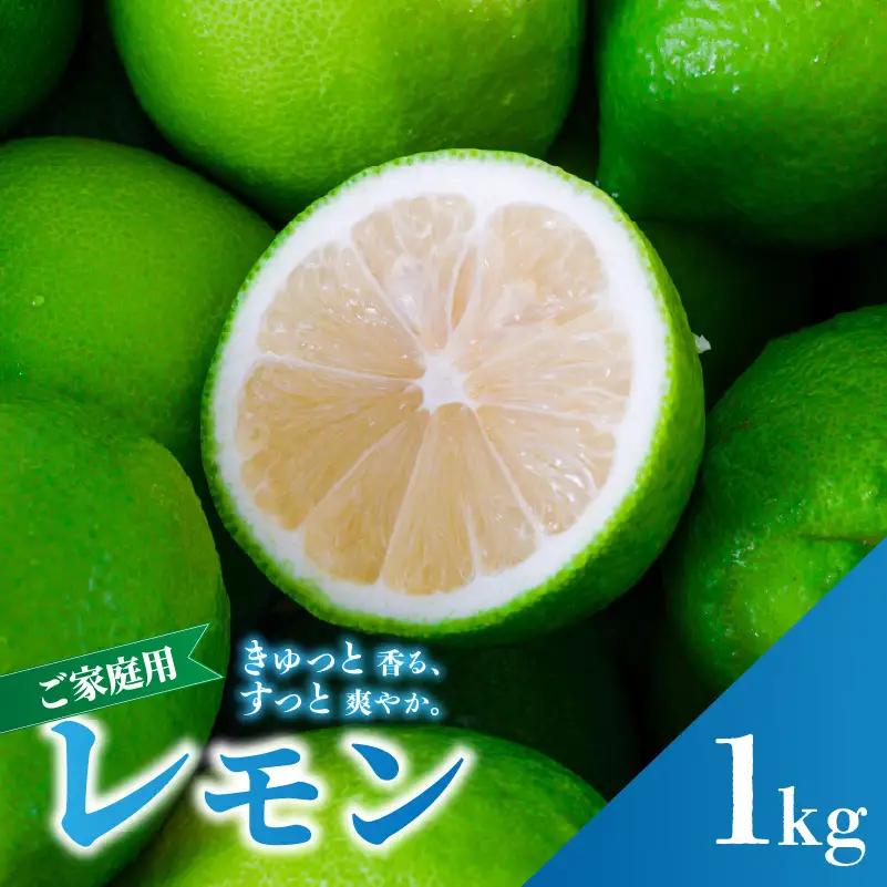 グリーンレモン 家庭用 お試し 1kg 【2026年9月下旬頃から順次発送】｜ 訳あり レモン 檸檬 【RNK030_g】