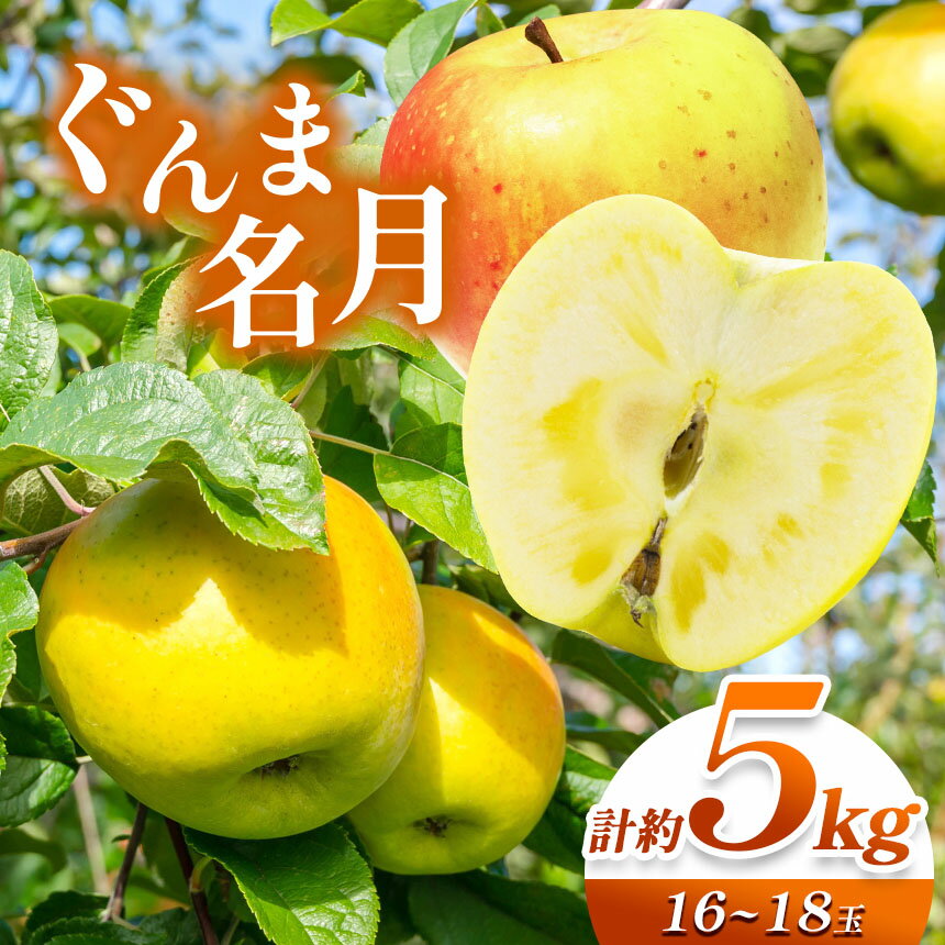 【ふるさと納税】【先行予約】《寄附金額改定！レビューキャンペーン実施中》信州産 絶品りんご！果汁たっぷり ぐんま名月 計約5kg （16 ～ 18 玉）【10月頃より発送予定】| 果物 くだもの フルーツ 林檎 りんご リンゴ ぐんま名月 食物繊維 ポリフェノール 長野県 塩尻市