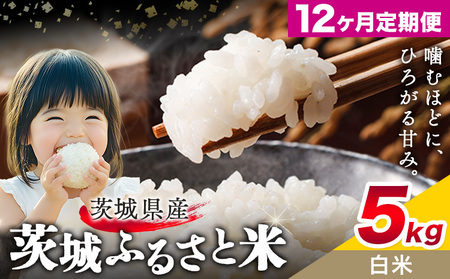 米5kg白米12回定期便《申込月の翌月から出荷開始》おこめ