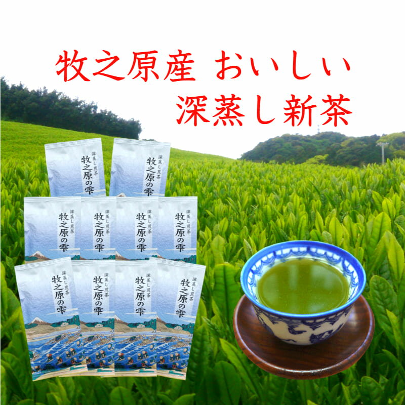 【ふるさと納税】 5月 新茶出荷 牧之原産 おいしい 新茶 10本 セット お茶 深蒸し煎茶 旬 贈答用 ギフト 静岡茶 緑茶 日本茶 茶葉 深蒸し 深むし 健康 リラックス 香り のし 熨斗 お土産 牧之原市 静岡県