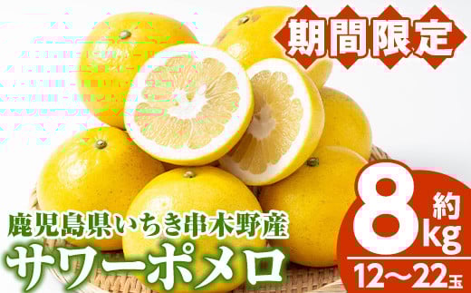＜期間限定＞磯部農園のサワーポメロ8kg箱バラ詰め（12玉～22玉）【A-1846H】