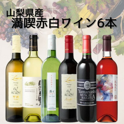 【ふるさと納税】山梨県産ワイン満喫赤白6本セット(2)009【配送不可地域：離島】【1606811】