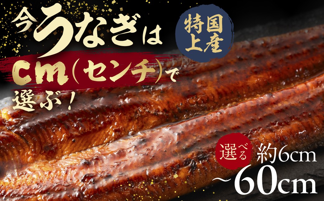 
                  今、うなぎはセンチで選ぶ！ 長さ選べる 国産 うなぎ蒲焼 カット鰻 うなぎ ウナギ unagi カット済 うな重 冷凍 うな丼 ストック 蒲焼 タレ付 選べる 簡単 簡単調理 訳あり 規格外 人気 三河 10 1万円 10000円 愛知県 豊橋市
                