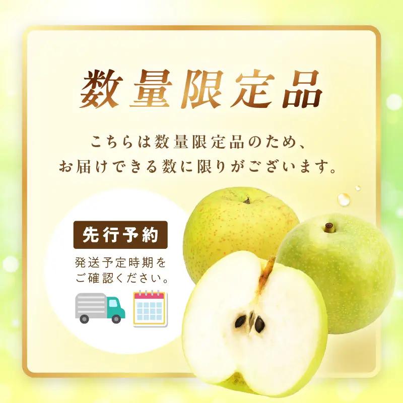 梨 【先行予約／数量限定600】20世紀梨（秀品） 5kg（10～16玉）（2026年8月下旬～発送）フルーツ 果物 梨 なし ナシ 20世紀梨 二十世紀梨 贈答向け