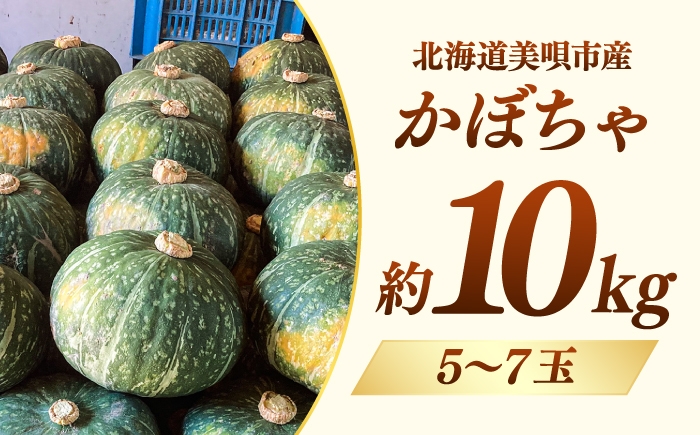 かぼちゃ 南瓜 カボチャ ぱんぷきん pumpkin パンプキン 野菜 やさい